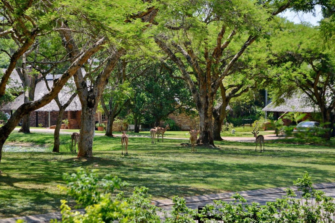 Cambalala - Luxury Units - In Kruger Park Lodge - Serviced Daily, Free Wi-Fi Hazyview Zewnętrze zdjęcie